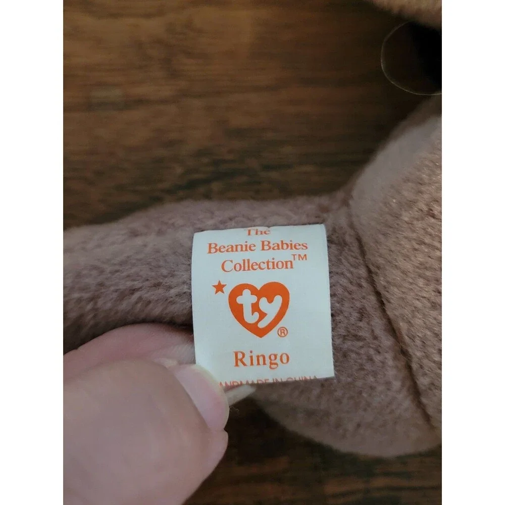 1995 Ty Beanie Baby Ringo Raccoon Plush Stuffed Animal